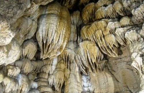 oregon-caves